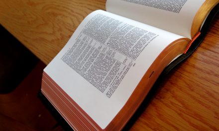 Cambridge KJV Concord Wide Margin Bible in Goatskin Leather | Unboxing and Review